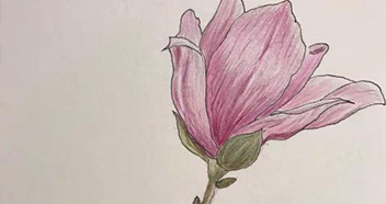 创意素描专业班（11-16岁）